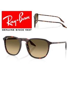2x Originele Vervanging Tempels > Ray-Ban 2203