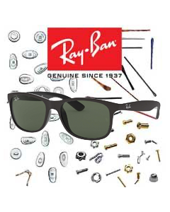 Ray-Ban 4202 Originele Onderdelen