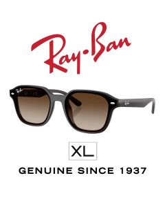 Originele zonnebrillen > Ray-Ban 4458D · 714/13