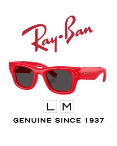 Originele zonnebrillen > Ray-Ban 4940 - Puffer 6831/87