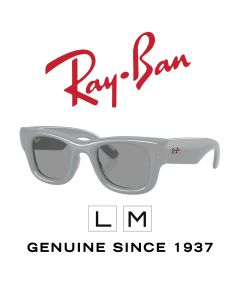 Originele zonnebrillen > Ray-Ban 4940 · Puffer 6876/1