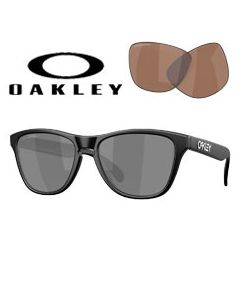 2x Origineel Onderdeel Glazen > Oakley 9508 · Frogskins S