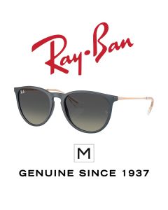 Originele zonnebrillen > Ray-Ban 4171 · Erika 6813/11
