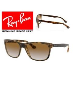 Reservepootjes/monturen Ray-Ban 4181