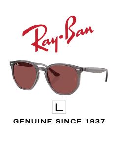 Originele zonnebrillen > Ray-Ban 4306 · 6873/75